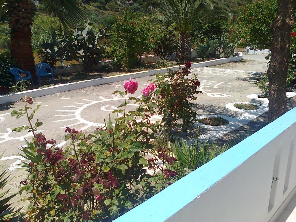 Dionysia Apartments Kefalos  Екстер'єр фото